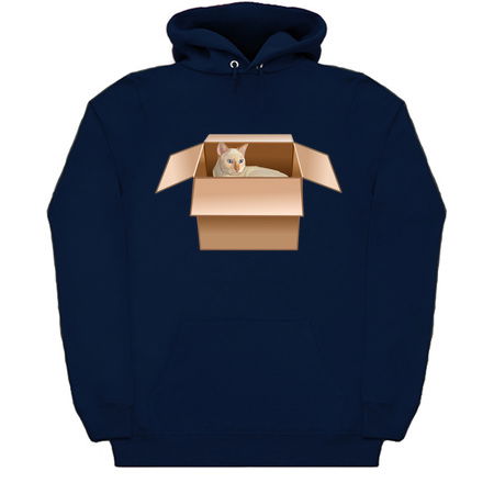 Flame Point Siamese Cat Loves Box tiny thumbnail