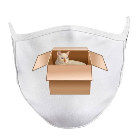 Flame Point Siamese Cat Loves Box tiny thumbnail