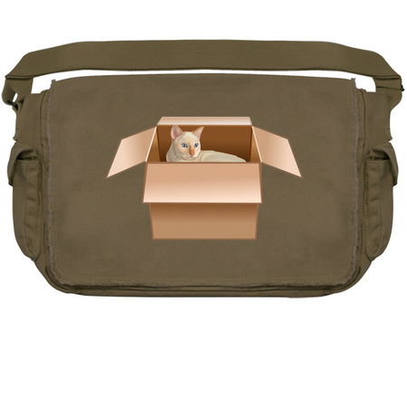 Flame Point Siamese Cat Loves Box tiny thumbnail