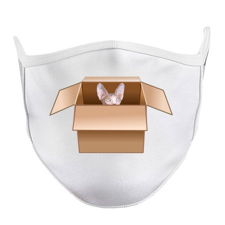 Sphynx Kitten Peeking from Cardboard Box tiny thumbnail