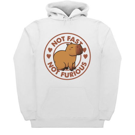 Not Fast Not Furious Capybara by Tobe Fonseca tiny thumbnail