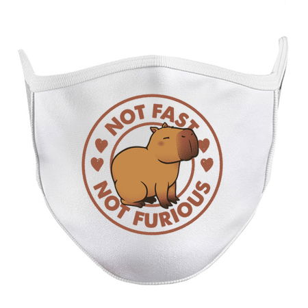 Not Fast Not Furious Capybara by Tobe Fonseca tiny thumbnail