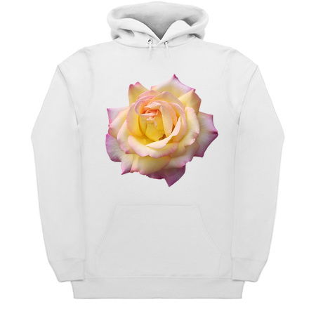 Pink Yellow Ombre Pastel Rose Flower tiny thumbnail