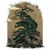 Draconic Bonsai Tree - Dragon Mythology of Japan tiny thumbnail