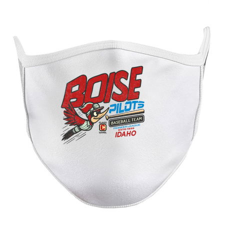 Defunct Boise Pilots Baseball Distressed tiny thumbnail