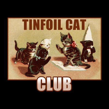 Timfoil Rabbitears Funny Tinfoil Cat Club Funny Vintage Cat Meme - NeatoShop
