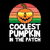 The coolest pumpkin around wearing sunglasses tiny thumbnail