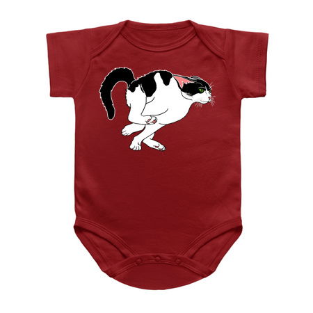 Hyperactive Running Black and White Cat tiny thumbnail