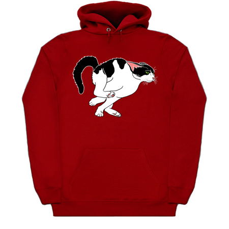 Hyperactive Running Black and White Cat tiny thumbnail