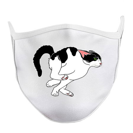 Hyperactive Running Black and White Cat tiny thumbnail