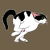 Hyperactive Running Black and White Cat tiny thumbnail