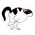 Hyperactive Running Black and White Cat tiny thumbnail