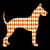 Orange Harlequin Great Dane Dog tiny thumbnail