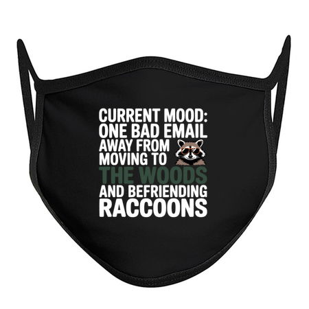 Current Mood Raccoon Funny Slogan tiny thumbnail