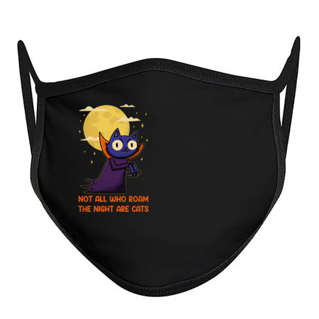 Not all who roam the night are cats tiny thumbnail