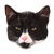 Cute Black and White Tuxedo Cat tiny thumbnail