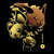 Electric Evolution Nightsky Lineart tiny thumbnail