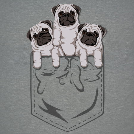 Pocket pugs hot sale