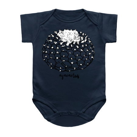 PEYOTE aka Lophophora tiny thumbnail