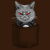 Pocket cat tiny thumbnail