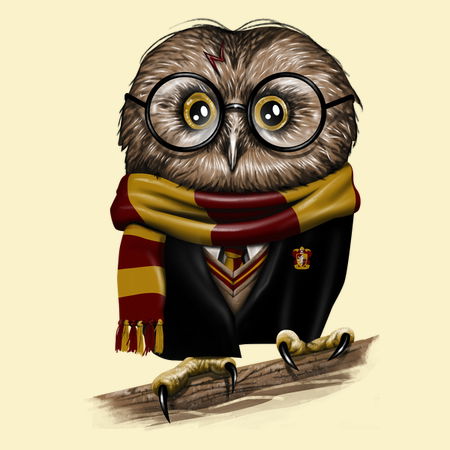 Owly Potter - NeatoShop