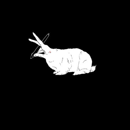 Hillary White Rabbit - NeatoShop