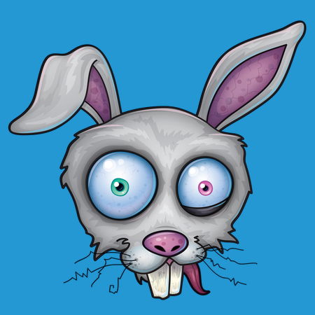 crazy white rabbit