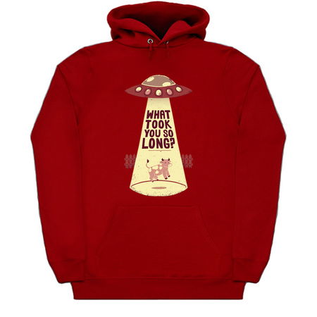 Why Did You Took So Long Alien Funny T-shirt tiny thumbnail