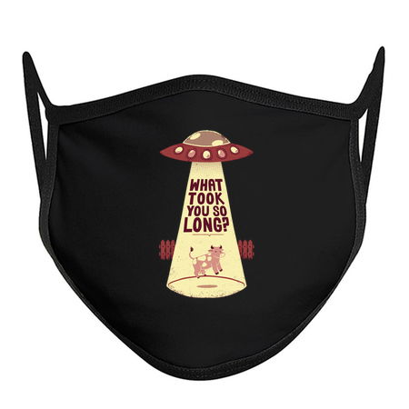 Why Did You Took So Long Alien Funny T-shirt tiny thumbnail