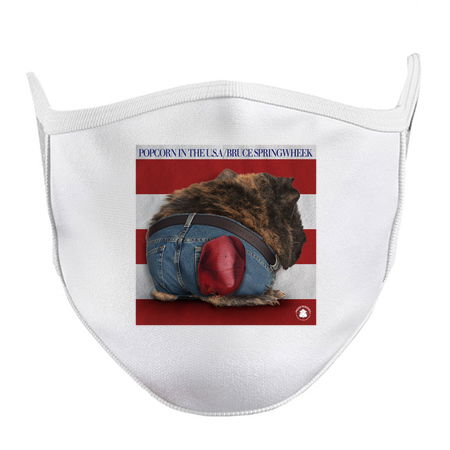 Popcorn in the U.S.A. / Bruce Springwheek tiny thumbnail