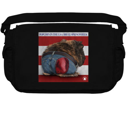 Popcorn in the U.S.A. / Bruce Springwheek tiny thumbnail