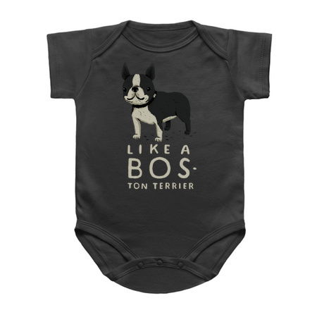 like a bos-ton terrier tiny thumbnail