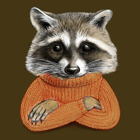 Raccoon in woolen sweater - NeatoShop