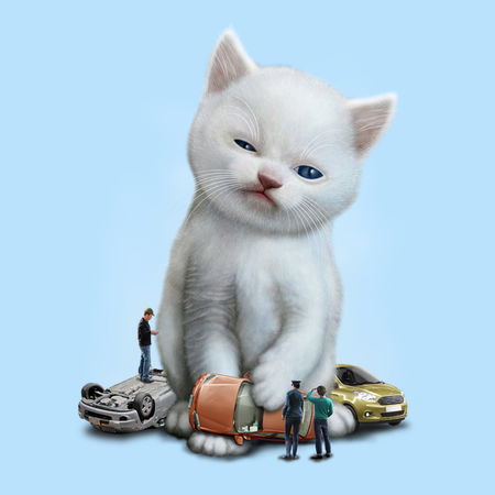 CAT VS CARS - NeatoShop