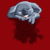 koala sleeping tiny thumbnail