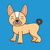 Smiling French Bull Dog Is Kawaii Cute tiny thumbnail