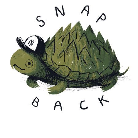 snapback turtle - NeatoShop