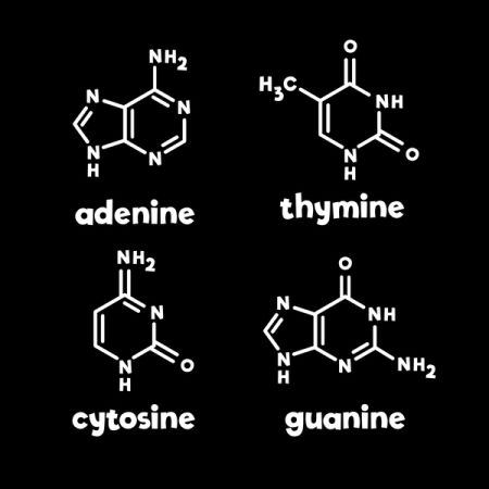 ATCG Science Molecule Chemistry - NeatoShop