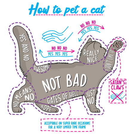How To Pet A Cat Neatoshop