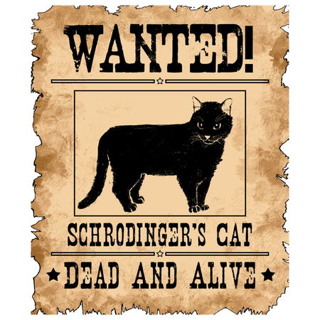 Wanted dead and alive cat Clearance
