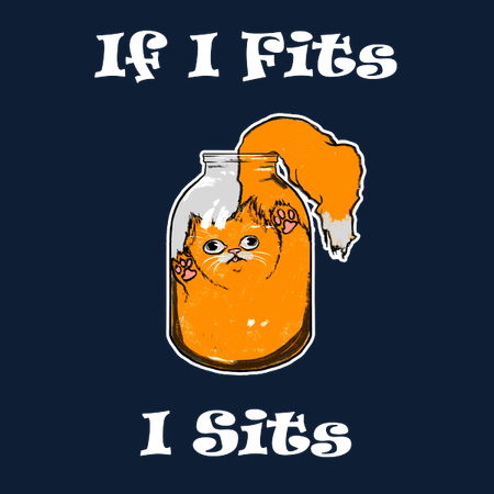 If I Fits I Sits Shirt Cat Lover Funny Kitty Kitten Neatoshop