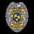 Police Badge (special tatctics and rescue service) tiny thumbnail