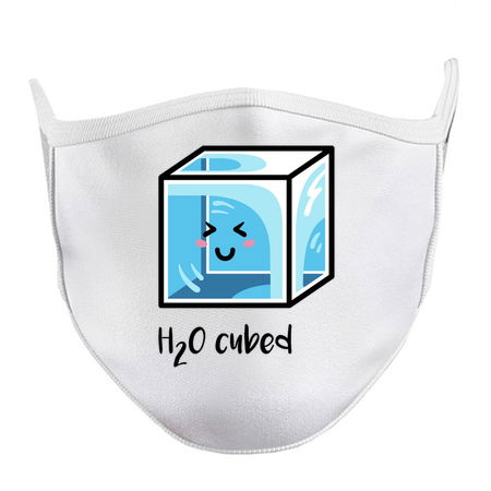 H2O Cubed Ice Block Chemistry Science Joke tiny thumbnail