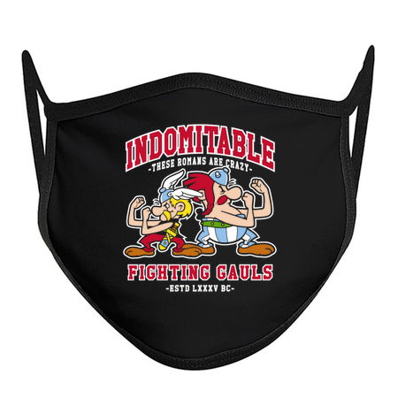 Fighting Gauls - French Comic Book - College tiny thumbnail