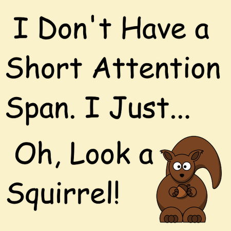 Attention span squirrel - NeatoShop