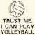 TRUST ME, I CAN PLAY VOLLAY BALL tiny thumbnail