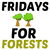 Climate protection Fridays for forests tiny thumbnail