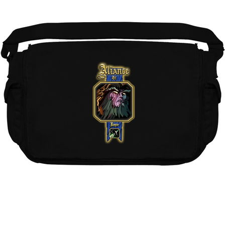 Race and class selection - Aliance Elf Rogue tiny thumbnail