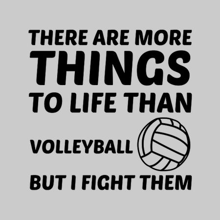 More things to life than volleyball funny - NeatoShop