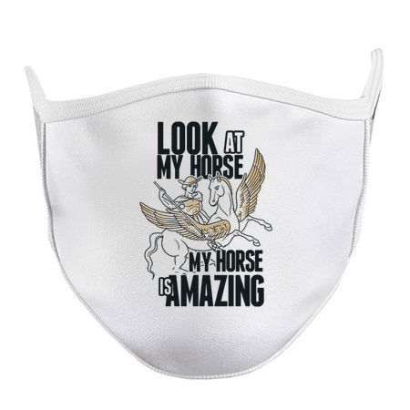 A hero riding his amazing angel winged horse! tiny thumbnail